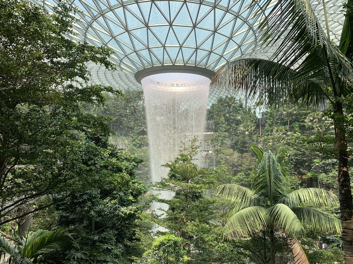 How to Clear Singapore Customs Easily: 4 Essential Travel Tips