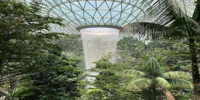 How to Clear Singapore Customs Easily: 4 Essential Travel Tips